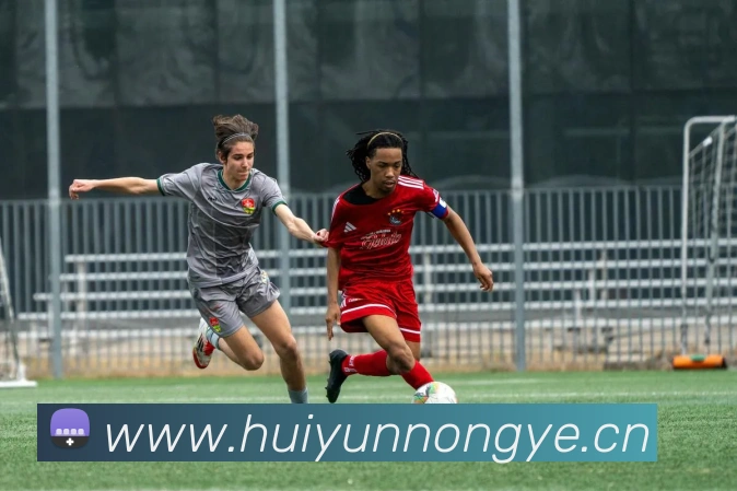 爱游戏ayx官网平台发展历程